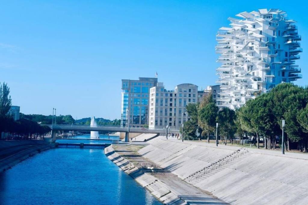 Appartement T2 A L'Arbre Blanc Montpellier Eksteriør billede